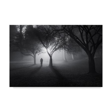 Yavuz Pancareken 'In A Land Of Mist' Canvas Art,12x19